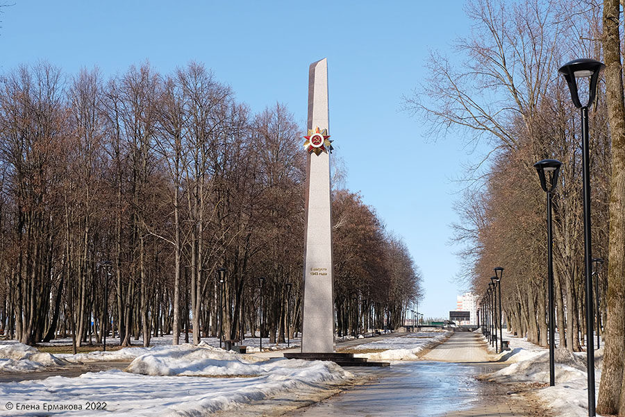 Парк победы зимой саратов