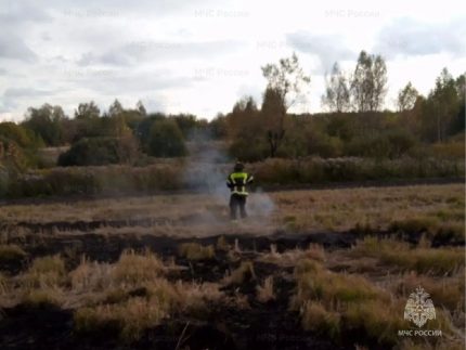 В Орловской области продолжают фиксировать термоточки