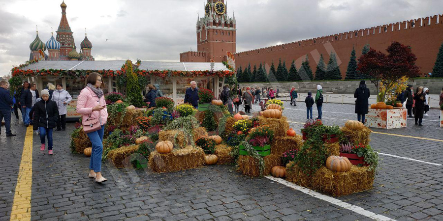 Осень на красной площади