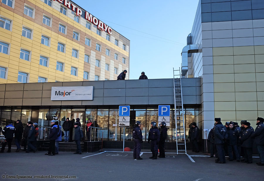 Модус орел фото